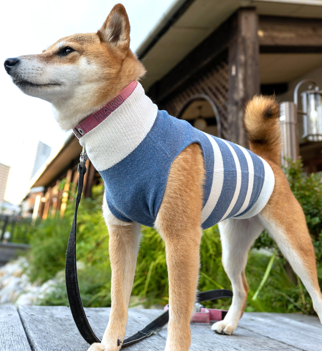 ダックス 猫 小型犬の服 ドッグスリング 犬用スリング 犬 猫の服 ドッグウェア チワワ コーギー トイプードル パグ の犬 猫の服の通販フルオブビガー